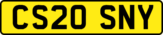 CS20SNY