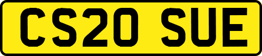 CS20SUE