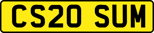 CS20SUM