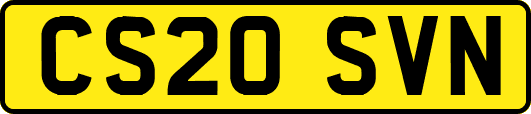 CS20SVN