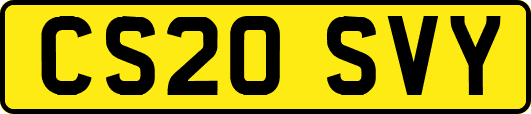 CS20SVY