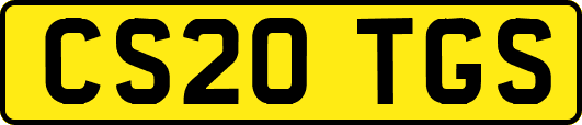 CS20TGS