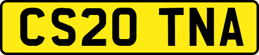 CS20TNA