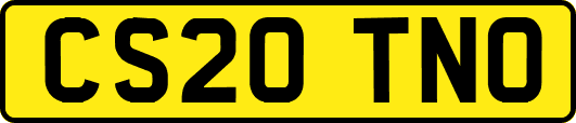 CS20TNO