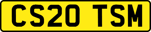 CS20TSM