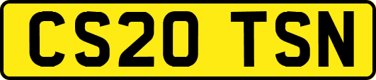 CS20TSN