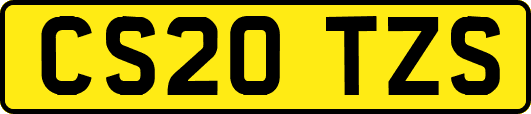 CS20TZS