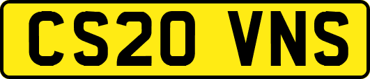 CS20VNS