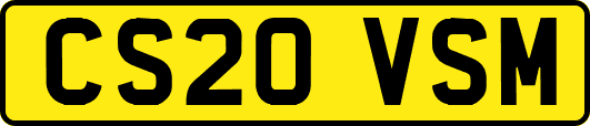 CS20VSM