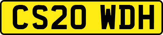 CS20WDH