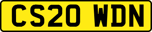 CS20WDN