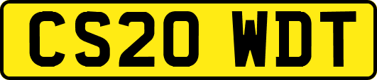 CS20WDT