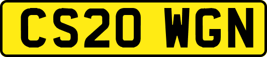 CS20WGN