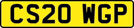 CS20WGP