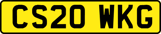 CS20WKG
