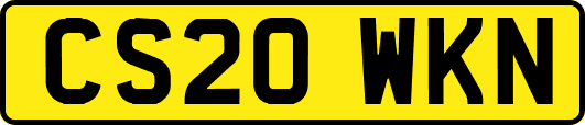 CS20WKN