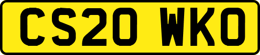 CS20WKO