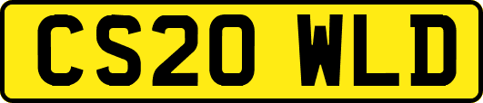 CS20WLD
