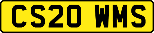 CS20WMS