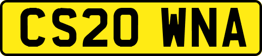 CS20WNA