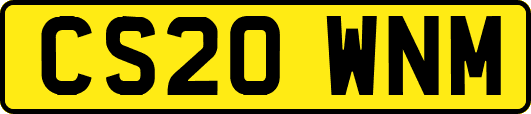 CS20WNM