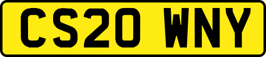CS20WNY