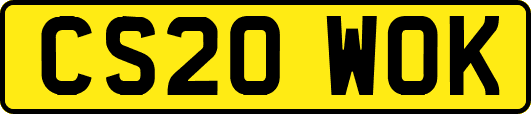 CS20WOK
