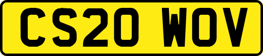 CS20WOV