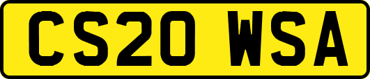 CS20WSA