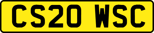 CS20WSC