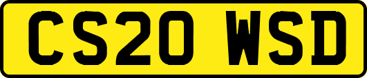 CS20WSD