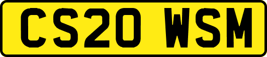 CS20WSM