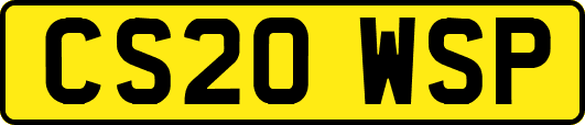 CS20WSP