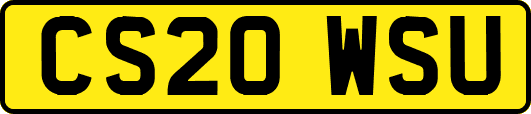 CS20WSU