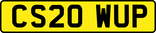 CS20WUP