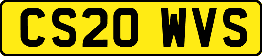 CS20WVS