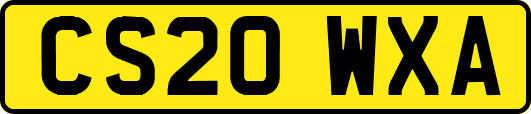 CS20WXA
