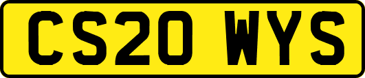 CS20WYS