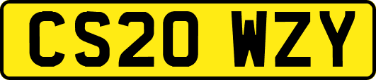 CS20WZY