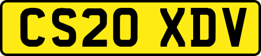CS20XDV