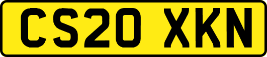 CS20XKN