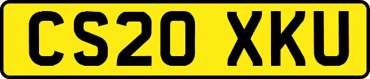 CS20XKU