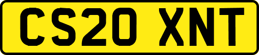 CS20XNT