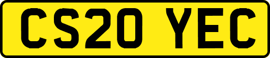 CS20YEC