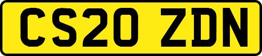 CS20ZDN