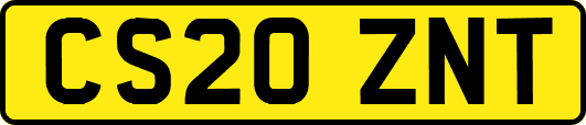 CS20ZNT