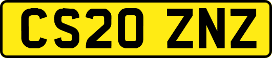 CS20ZNZ