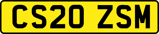 CS20ZSM