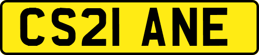 CS21ANE