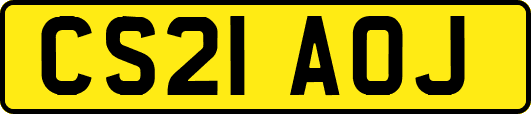 CS21AOJ